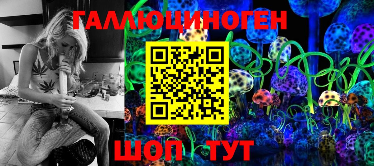 Галлюциногенные грибы Psilocybe  Вход с VPN  Костомукша 