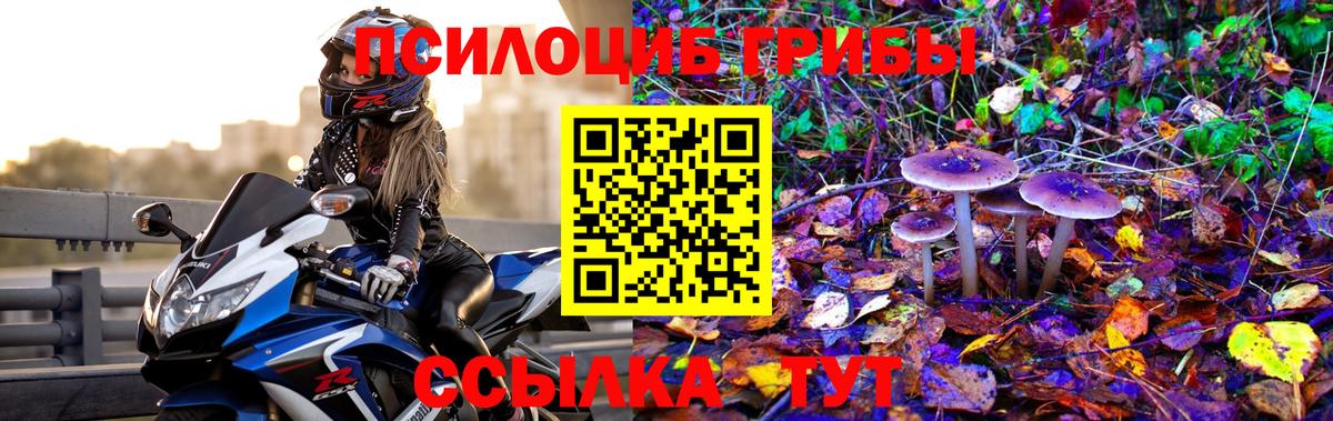 Псилоцибиновые грибы мухоморы Костомукша
